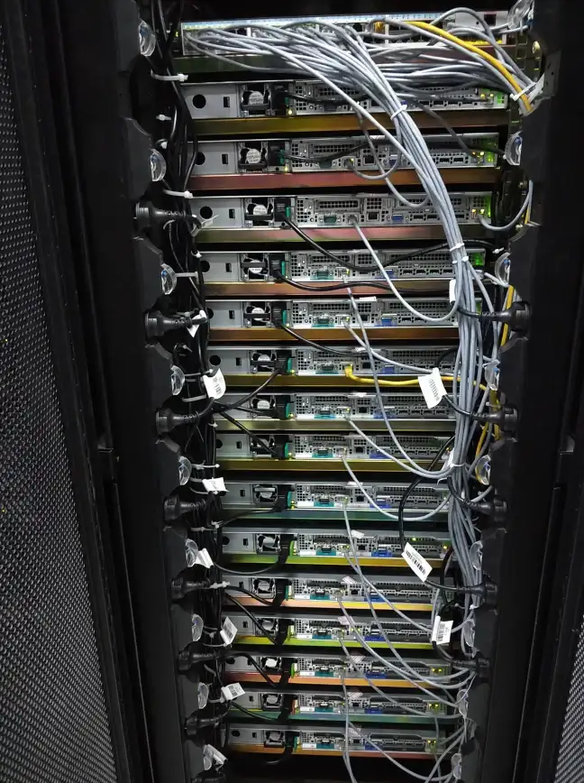 Disorder秃鹫实战技巧与操作要点解析