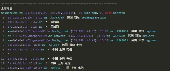 快讯｜SSR云服务器链接全新解析—高速连接畅享指南】云计算精选教程