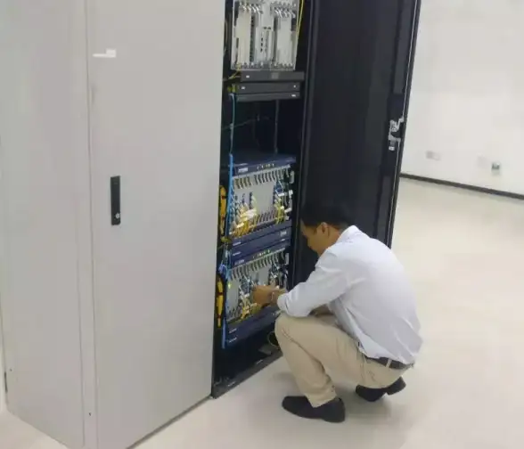 电商实用指南｜阿里旺旺下载警示：日本VPS内网设置必知要点！干货拆解】