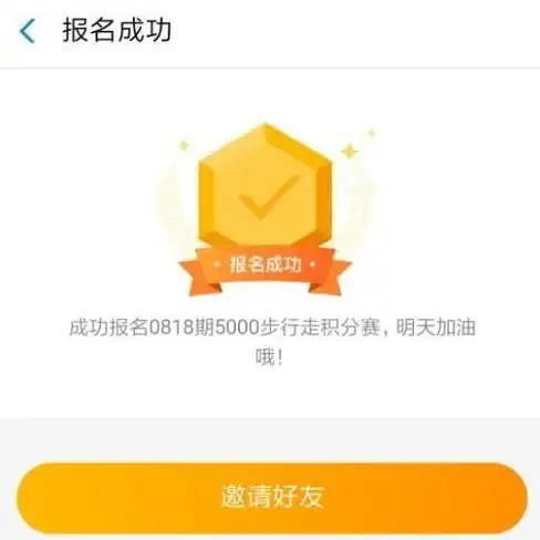 服务器运维 高效管理 宝塔启动指南，轻松助力服务器高效运维