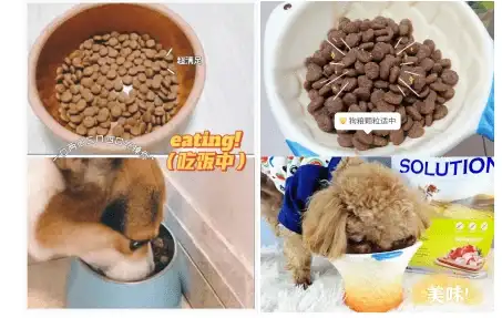 活动🔥冒险🔥盛典 永恒之塔新春狂欢欢乐盛宴