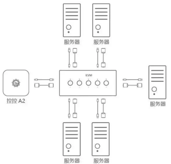 种植🌱技巧攻略🌿星露谷物语高效树种种植全指南