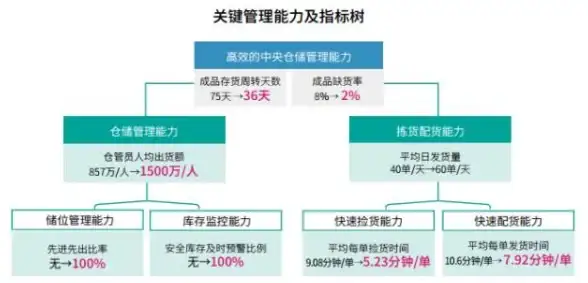 dnf缔娜哪个职业更强