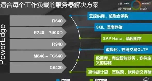 深度解读｜免费VPS风险预警：服务条款深度解析⚡云安全须知【云计算安全】