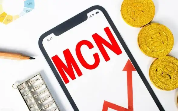 VPS加速,海外网络优化-新加坡CN2精品线路适合哪些场景