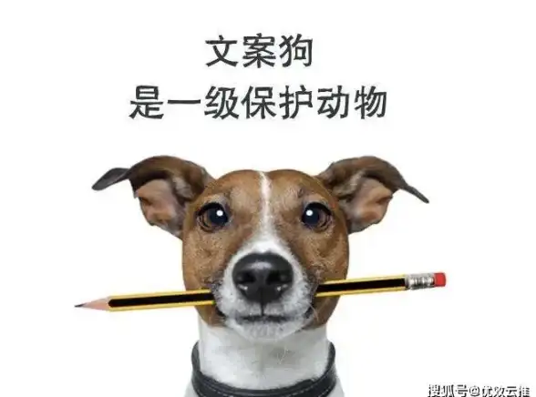 游戏📍故障📍辅助提醒 龙之谷自动寻路中断传送功能失效解决方案