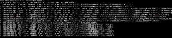 CSDN下载！高效文档获取全解析—后端抓取技巧揭秘】秒变资源达人