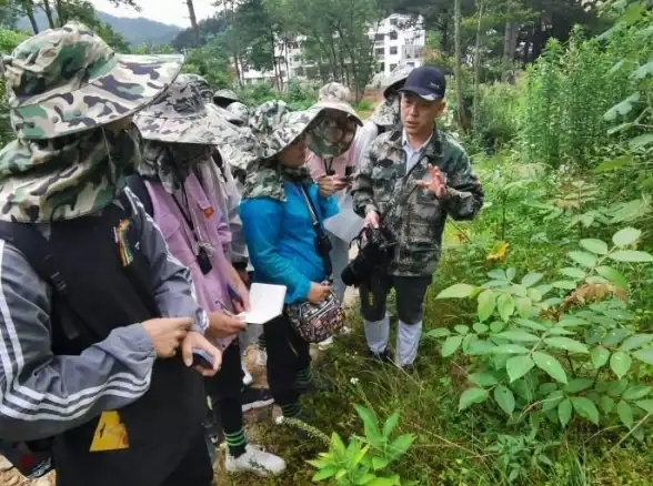 悬疑破案⚡高能攻略⚡新手必看｜隐秘的档案》影灵通关全技巧，轻松无压力斩关！