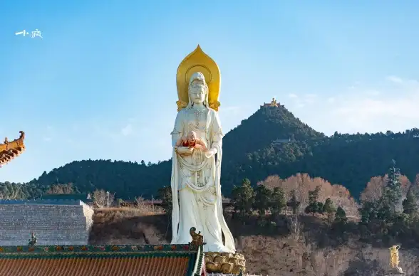 虚拟主机配置指南｜IIS服务器实用技巧—全面解析⚡网站搭建教程】