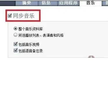 跨境新手必备｜爆款VPS推荐与避坑指南！2024高速服务器选购速查
