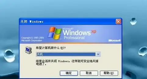 重装系统 高效选择：如何挑选适合自己的高效一键重装系统工具