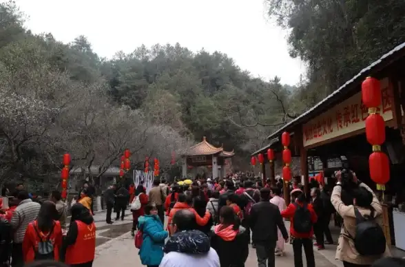 联通网络,高速带宽-联通CN2带宽的优势及覆盖区域详解