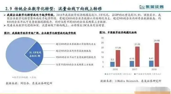 菲律宾VPS 网络双线体验揭秘：莱卡云住宅IP优势解析