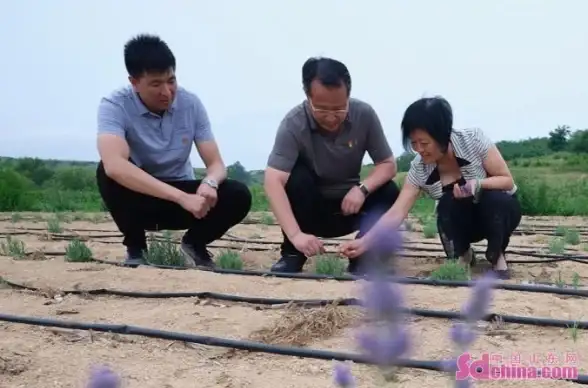 激活码🔥win10专业版激活码2021最新版申请流程及注意事项详解