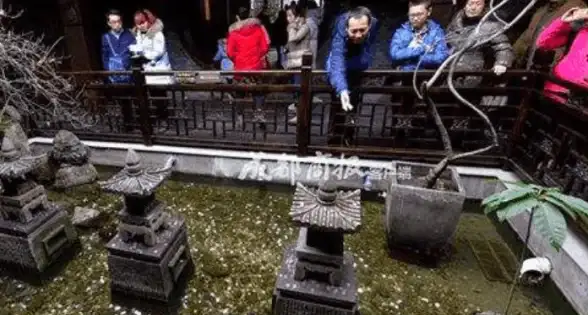 攻略秘籍🔥合金弹头觉醒英雄阵容深度解析 剑舞影卫赤练详细讲解