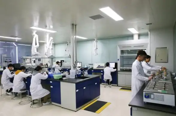 【干货首发】日本VPS建站安全指南！快速高效部署技巧全揭秘｜经验精选