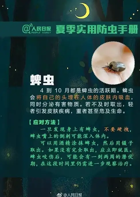 高速带宽🚀大流量｜Spinservers美国服务器畅享10Gbps带宽与100T流量无忧网络