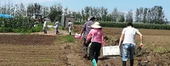 ⚔装备进阶⚡战术剖析丨《余烬风暴》刺客VS游侠最强搭配全攻略