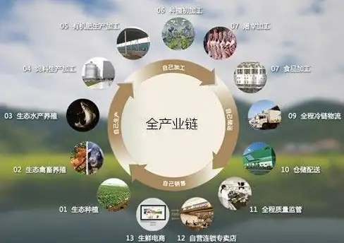 VPS特惠🎉云服务器促销—bitsflowcloud夏日狂欢，年付85元享超值套餐再送硬盘流量