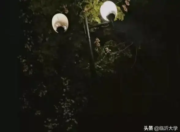 探秘《物华弥新》中铜车马深造最佳装备选择技巧