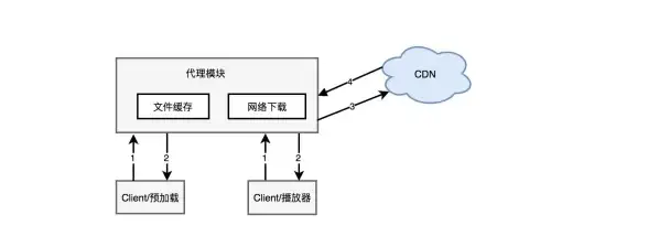 热门攻略⚡等级解析⚡进阶秘籍｜神仙道强化后最低等级限制及最佳进阶时间全揭秘！