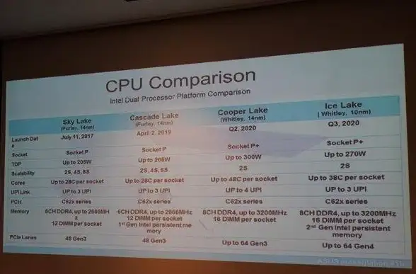 探秘尘白禁区 遗迹考古高能攻略 匠人任务速成宝典