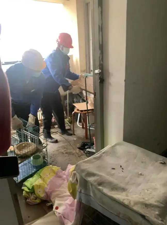 🚩热点 实用 攻略｜水浒宋江传》云存档功能全解析+超详细使用指南！