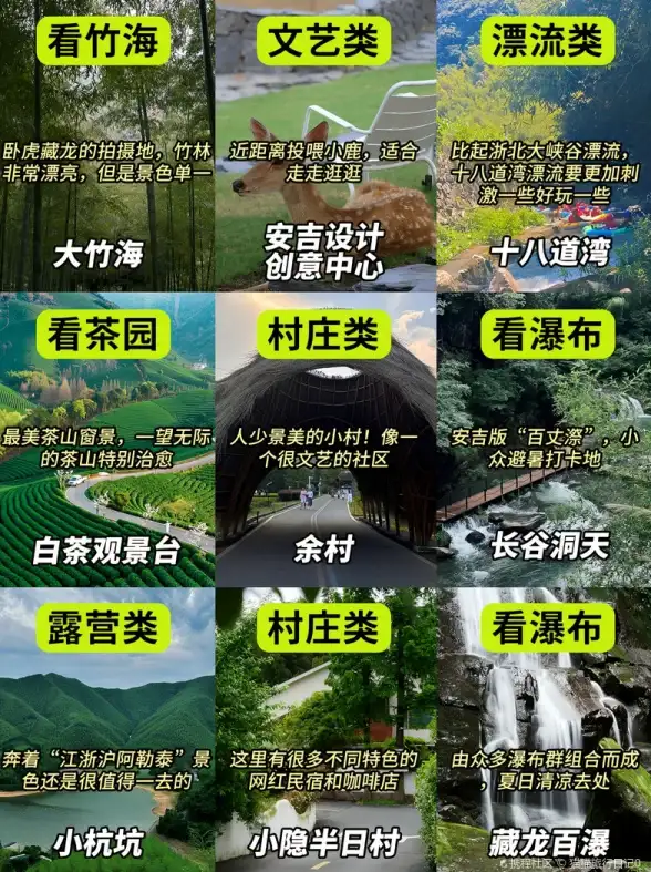 独家详解｜玩转MVS2005源码必备技巧❗开发环境全流程指南—VPS实用教程【开发干货】
