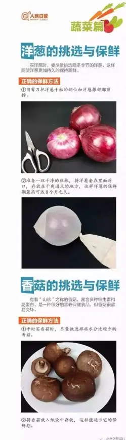 元素攻略 超载爆发 装备优化丨《原神》夏香皇四星超载队元素共鸣全解析！