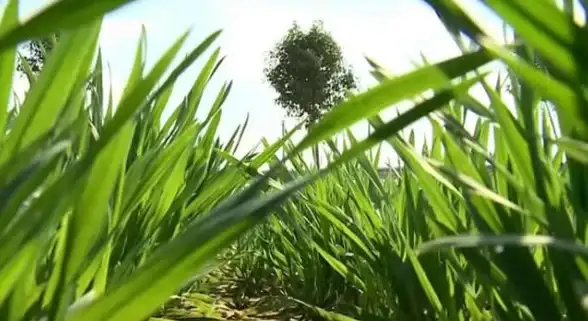 免备案建站必看！零基础选域名与PHP空间避坑技巧大公开【建站教程】