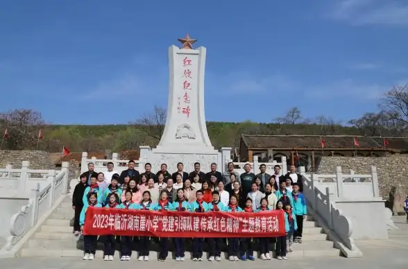 服务器推荐🚀越南独立服务器优选，DataOnline 200M带宽无限流量