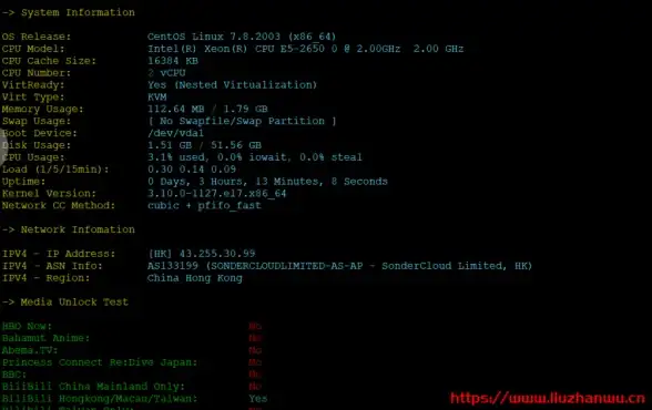 日本网络—快速配置秘籍！VPS云服务器Linux适配下载要点解析｜推荐指南