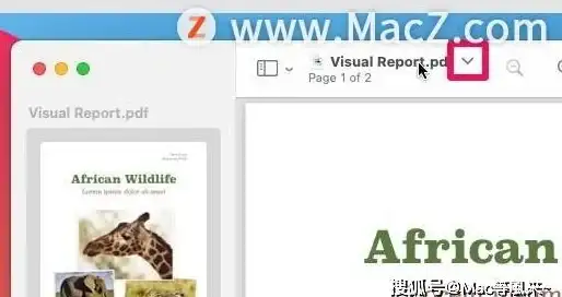 ★实用攻略★超全指南★魔兽世界》女巫浆果传奇用途与高效获取秘籍详解