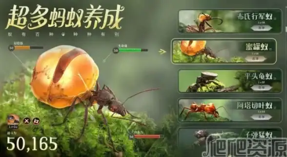 云服务器选购必看｜VPS价格全解！新加坡服务器成本揭秘【云计算必读】
