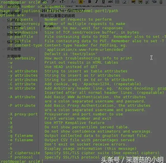 CDN加速-西北网络，中国移动CDN网络加速，助力西北地区