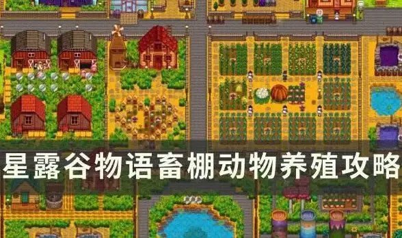 关联选型 实用锦囊｜全能适配]ASP源码下载指南，主机兼容重点讲解