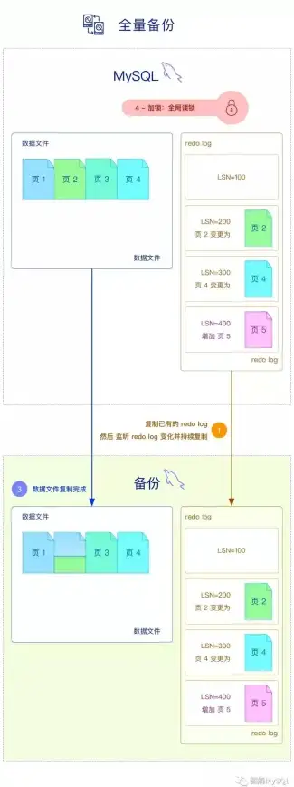 魔能·巅峰·攻略🔥决胜巅峰魔能之鞋增强效果深度解析