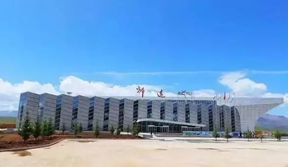 高防VPS 网络安全｜12Tbps防御是真是假？bitsflow美国高防VPS实测为你揭秘