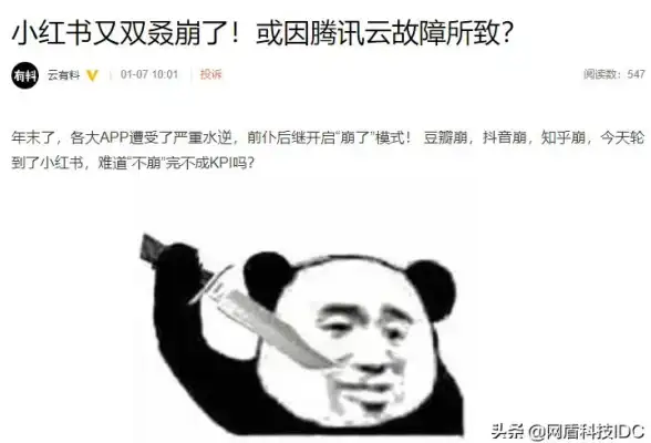 兼容性洞察｜迅雷与国内VPS服务器全新适配剖析—实用指南【云计算聚焦】