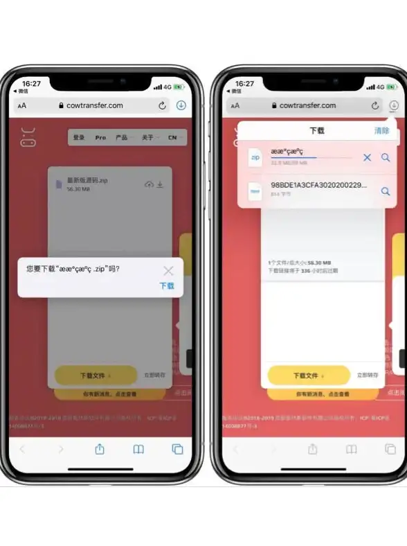 高防护盾🛡原生IP🚀bitsflow高防VPS：利用原生IPv4提升业务安全性与稳定性