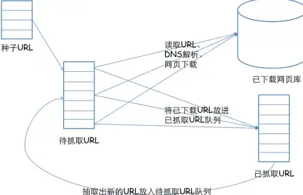 🔥热门攻略🔥采集秘籍 天国拯救2最佳甘菊采集地点全解析＋路线推荐！