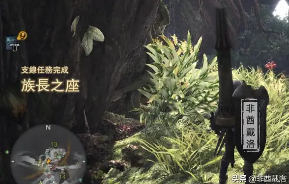 推荐✦必看✦攻略 揭秘《王者荣耀》苍维京掠夺者皮肤全解析与实用技巧