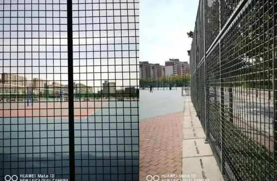 恋爱指南💖结婚攻略 星露谷物语最佳养鱼老婆推荐