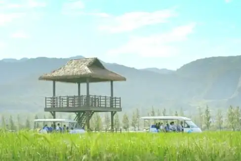 热门爆款·活动揭秘·限时抢 鸣潮x货拉拉快闪联名活动具体时间曝光
