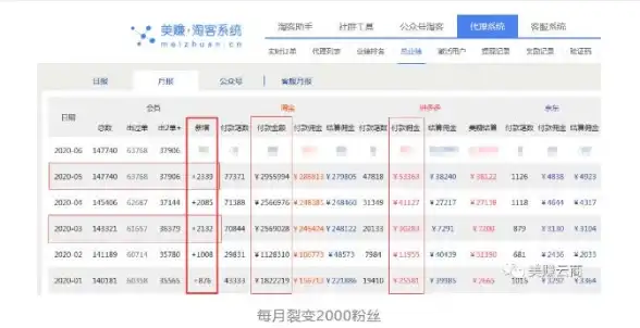 战斗效率🔥伙伴选择｜辐射4必练最强搭档揭秘