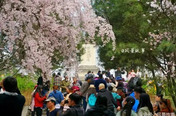 热门·坐骑·帅哥 热血江湖最帅坐骑帅哥聚集地全解析
