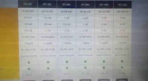 【爆款解析】最新北美VPS深度测评丨Freehost稳定性真相大揭秘—选购必看指南 主机选择