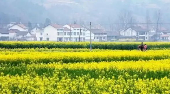 服务器选择,多线路-个人站长如何选择美国服务器多线路方案