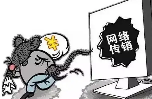 香港站群-服务器选购建议,木空数据特色