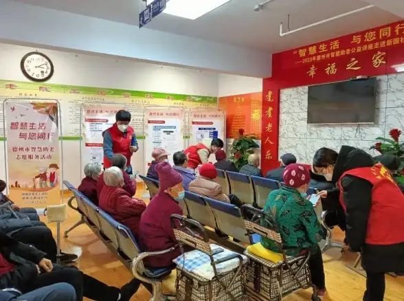 德国IP直连 高速VDS服务器，双ISP住宅IP助力畅享本地网络资源